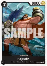 Card art for Hajrudin (OP17-088)